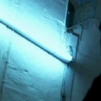 Bjarne Henriksen - Age, Wiki, Birthdate, Bio, Networth, Family & More