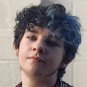 Kana Blender - Age, Height, Birthdate, Family, Wiki & More