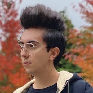 Bobicraft - Networth, Bio, Birthdate, Age, Family & More