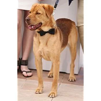 Body - Age, Bio, Birthdate, Family, Networth & More