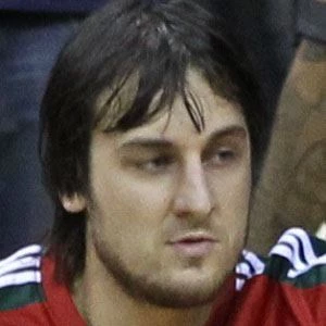 Andrew Bogut Biography