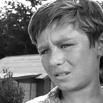 Boris Demb - Family, Bio, Birthdate,Age, Networth , Wiki& More