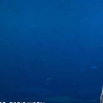 Boris Worm - Age, Bio, Birthdate, Family, Networth & More