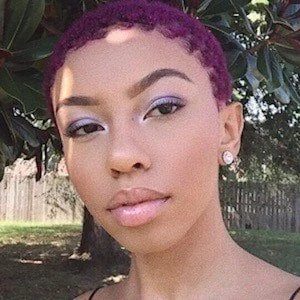 Kirbi Bourage - Biography, Birthday, Wiki, Family, Networth & More