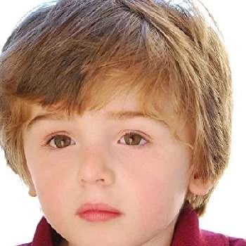 Brandon Strauss - Age, Bio, Birthdate, Family, Networth & More