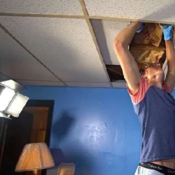 Brennen Evangelista Biography