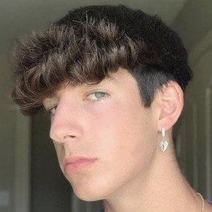 Tyler Brickeen - Birthplace, Bio, Wiki, Birthday, Family, Networth & More