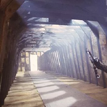 Brooke Theiss - Wiki, Bio, Networth, Birthdate, Family & More