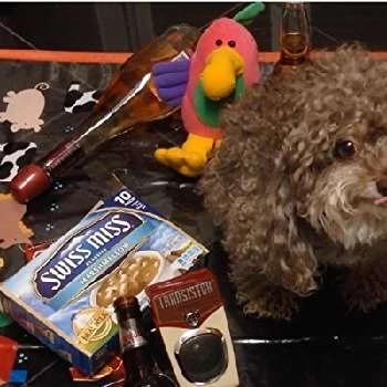 Buckaroo Puppy - Age, Bio, Birthdate, Family, Networth & More