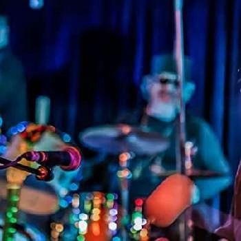 Buzzy Linhart - Networth, Biography, Birthdate, Family & More