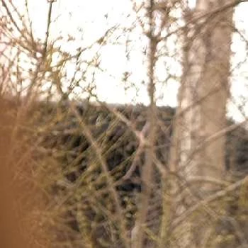 Caitlin Cardile - Income, Birthday, Family, Bio, Networth & More