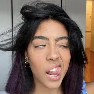 Kara Cannella - Networth, Bio, Birthdate, Age, Family & More