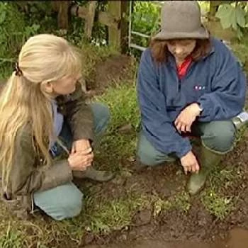 Carenza Lewis - Age, Bio, Birthdate, Family, Networth & More