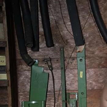 Caroline Faille - Age, Bio, Birthdate, Family, Networth & More