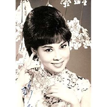 Carrie Ku Mei - Birthplace, Bio, Wiki, Birthday, Family, Networth & More