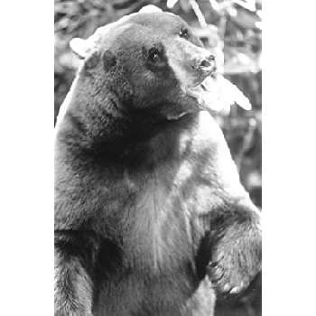 Casey - Age, Bio, Birthdate, Family, Networth & More