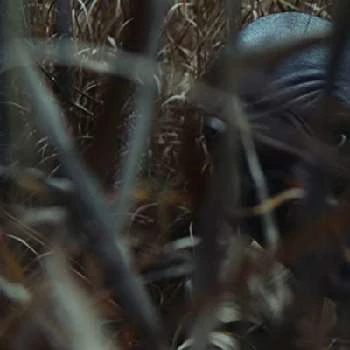 Cedric Burnside - Age, Bio, Birthdate, Family, Networth & More