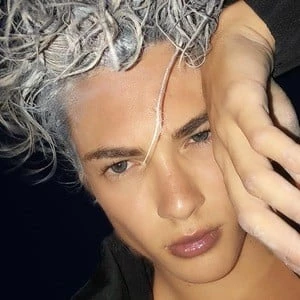 Jared Celma - Bio, Networth, Family, Age, Birthdate & More