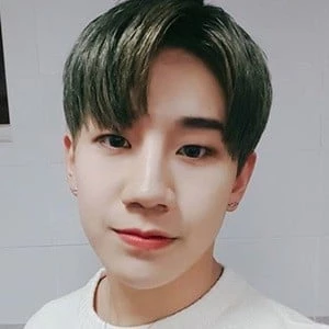 Lee Changsun - Income, Birthday, Family, Bio, Networth & More