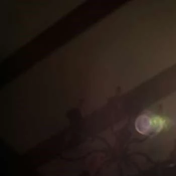 Charlotte de Moel - Age, Bio, Birthdate, Family, Networth & More