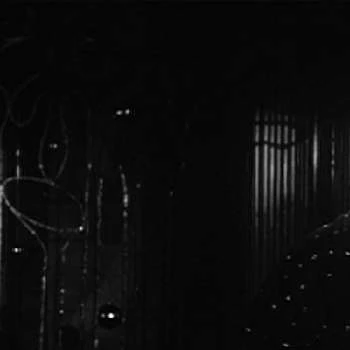 Chikako Hosokawa - Family, Bio, Wiki, Dat of Birth, Networth & More