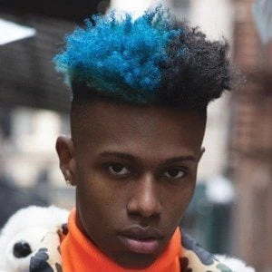 Chozus - Age, Bio, Birthdate, Family, Networth & More