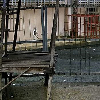 Chris Hondros - Age, Bio, Birthdate, Family, Networth & More