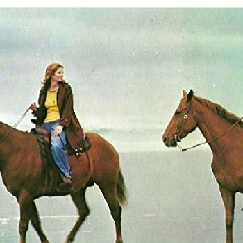 Christine Belford - Parents, Networth, Bio, Birthdate, Family Wiki & More