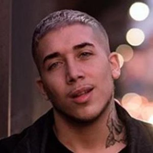 Luca Cilluffo - Profession, Biography, Birthdate, Family, Wiki & More