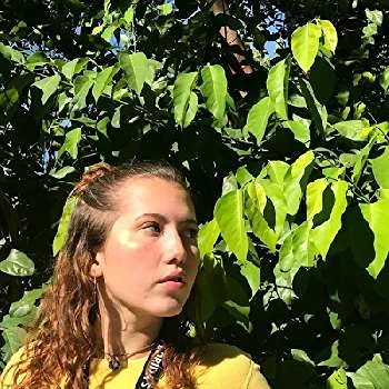 Clare Rearer - Age, Bio, Birthdate, Family, Networth & More