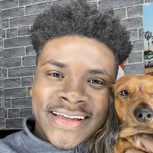 Marquay Collins - Family, Bio, Birthdate,Age, Networth , Wiki& More