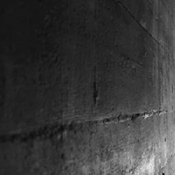 Corey Busboom - Age, Bio, Birthdate, Family, Networth & More