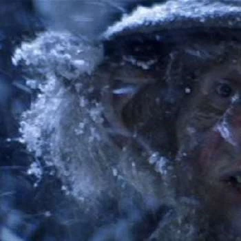 Cork Hubbert - Networth, Biography, Birthdate, Family & More