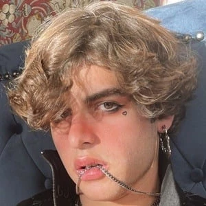 João Coronel - Networth, Bio, Wiki, Family, Birthday, Networth & More