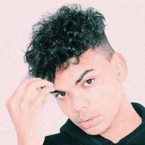 Joey Craig - Biography, Birthdate, Family, Networth & More