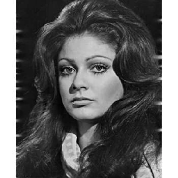 Cynthia Myers - Wiki, Bio, Birthdate, Networth, Family & More