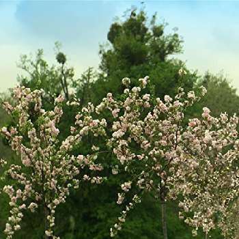 Daisy Badger - Age, Bio, Birthdate, Family, Networth & More