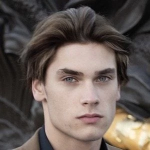 Damien Pallard - Family, Bio, Birthday, Family, Income & More