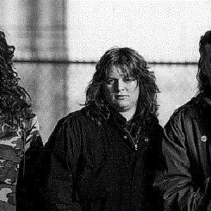 Denis D'Amour - Age, WIki, Birthday, Family, Networth & More