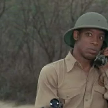 Darin Taylor - Age, Bio, Birthdate, Family, Networth & More