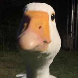 Dolan Dark Biography