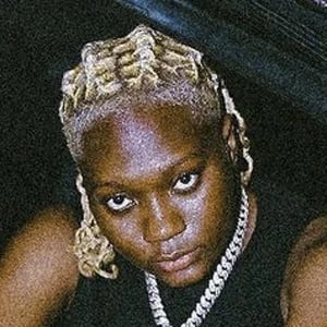 Darkoo Biography