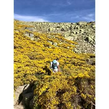 David Castellanos - Age, Bio, Birthdate, Family, Networth & More