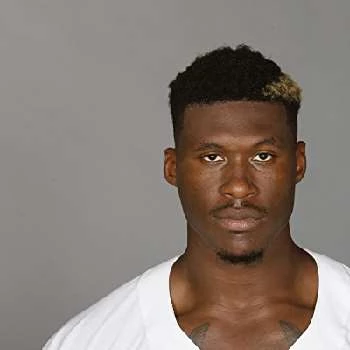 David Irving Biography