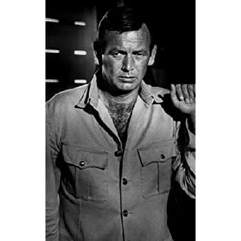 David Janssen Biography