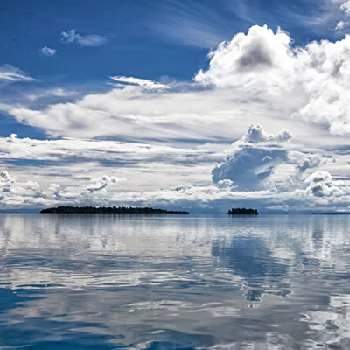 David Sheridan - Age, Bio, Birthdate, Family, Networth & More