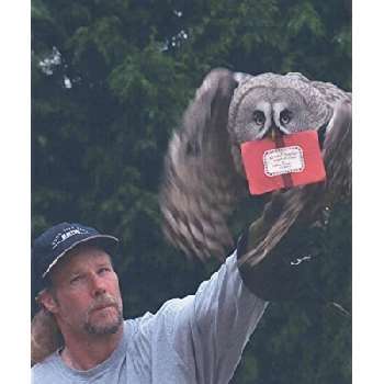 David Sousa - Age, Height, Birthdate, Bio, Family, Networth & More