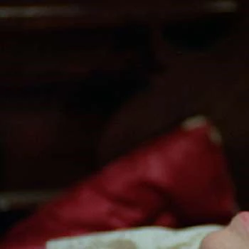 Dawn Carver Kelly - Age, Bio, Birthdate, Family, Networth & More