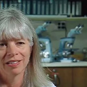 Deborah Radisch - Age, Bio, Birthdate, Family, Networth & More