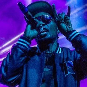 Del the Funky Homosapien Biography
